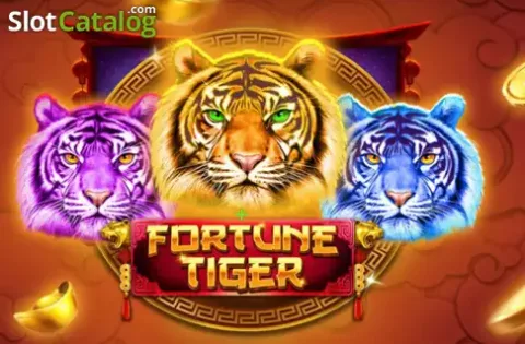 BetDaily India promotions for Indian customers